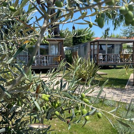 Camping Les Cigales Otel Mandelieu Dış mekan fotoğraf