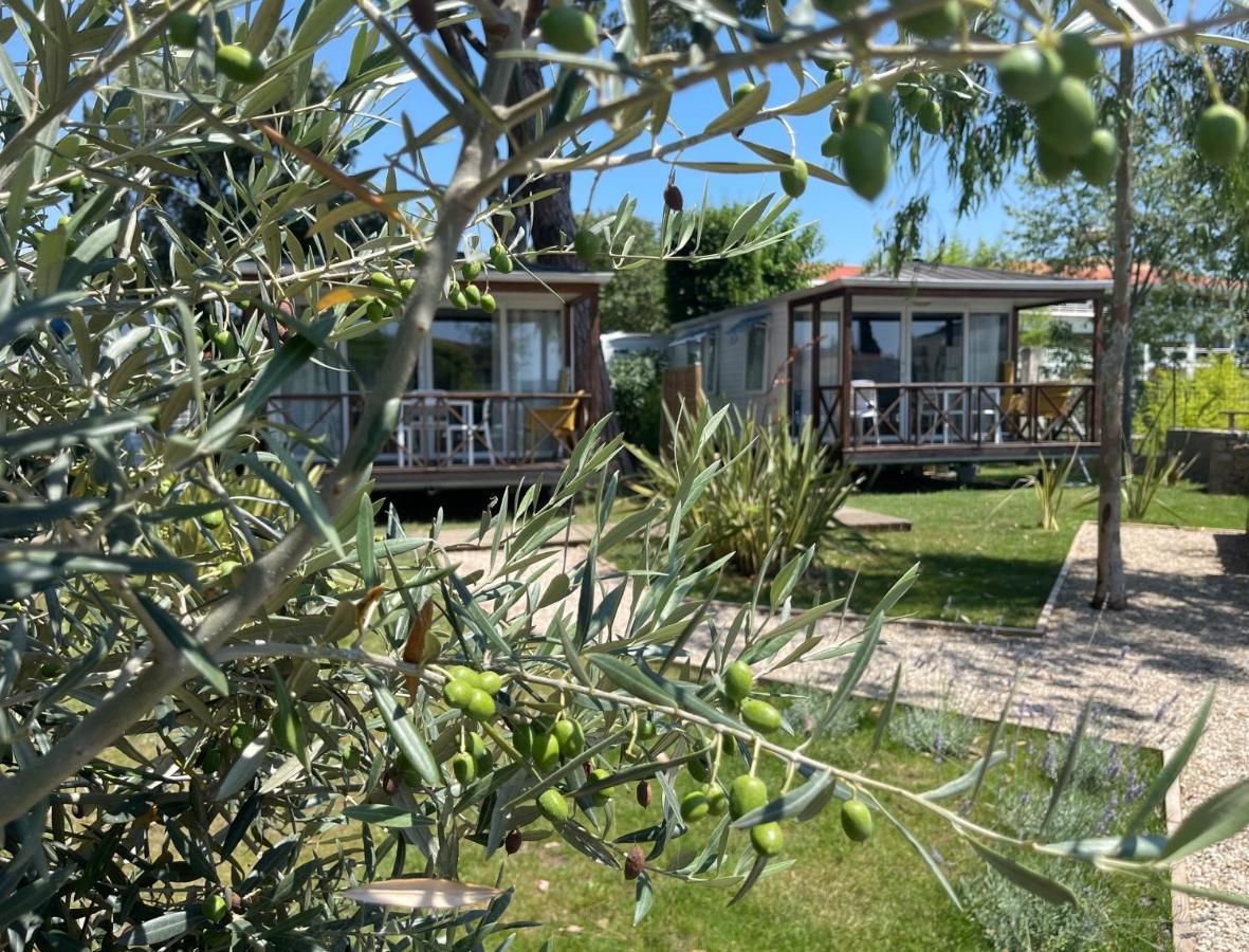 Camping Les Cigales Otel Mandelieu Dış mekan fotoğraf