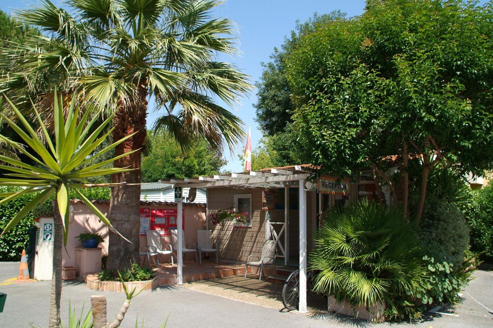 Camping Les Cigales Otel Mandelieu Dış mekan fotoğraf