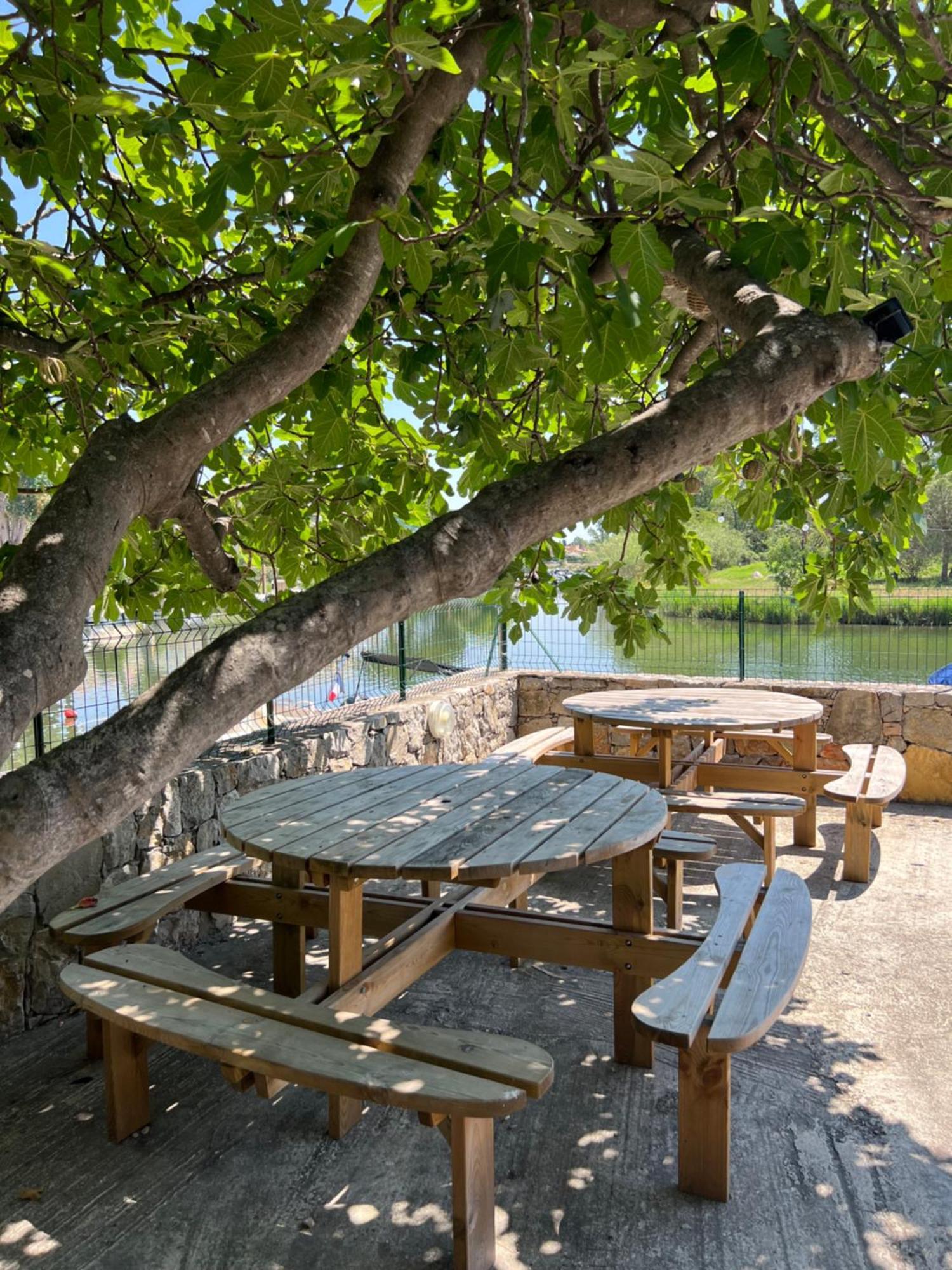 Camping Les Cigales Otel Mandelieu Dış mekan fotoğraf